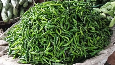 কাঁচা মরিচের কেজি ৩০০ টাকা
